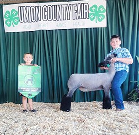 Grand Champion Market Lamb
Champion Natural
Union County Fair (SD)