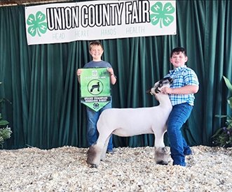 Grand Champion Breeding Ewe
Union County Fair (SD)