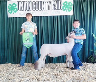 Reserve Grand Champion Market Lamb
Champion Hamp
Union County Fair (SD)