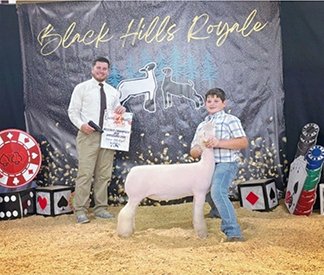 Reserve Champion White Face Breeding Ewe
Black Hills Royal (SD)