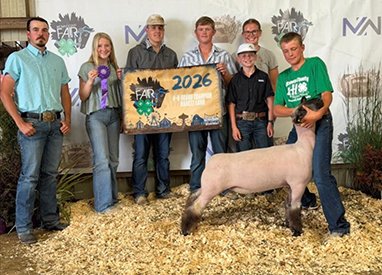 Grand Champion Market Lamb
Brown County Fair - SD
